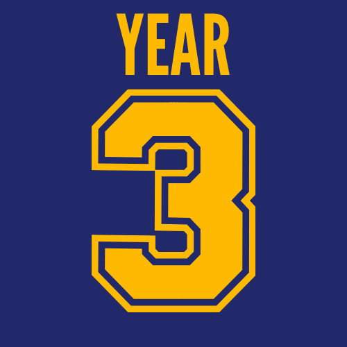 year 3